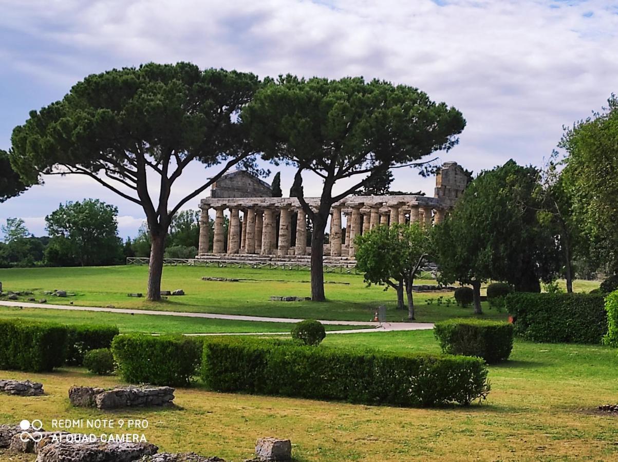 كاباتشو - بايستوم B&B Villa Di Bartolomeo المظهر الخارجي الصورة