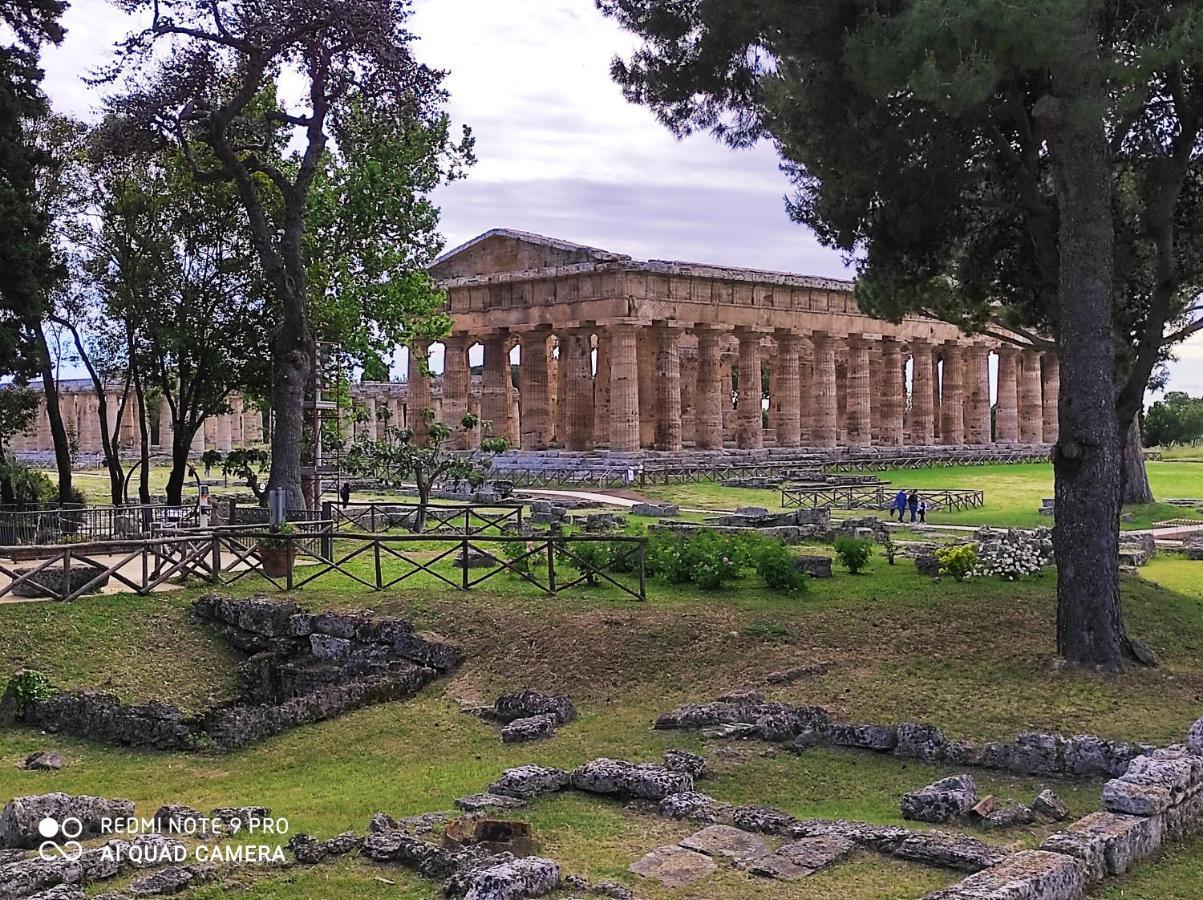 كاباتشو - بايستوم B&B Villa Di Bartolomeo المظهر الخارجي الصورة